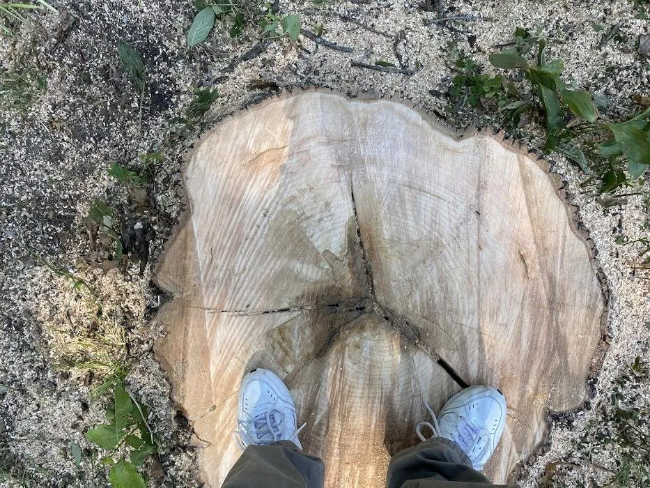 Top-rated landscape design in Kansas City, MO - Gilbert's Stump Grinding and Landscaping