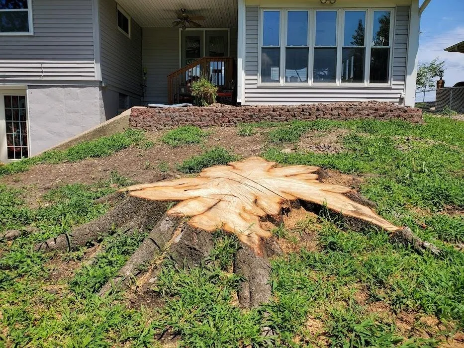 Trusted outdoor landscaping experts serving Kansas City, MO - Gilbert's Stump Grinding and Landscaping