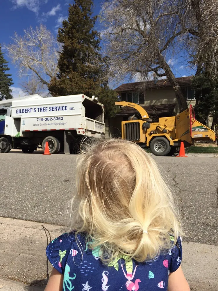 Affordable landscape installation experts serving Fountain, CO - Gilbert's Tree & Landscape