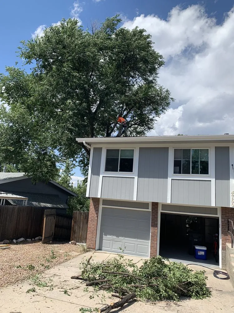 Professional yard cleanup service in Fountain, CO by Gilbert's Tree & Landscape