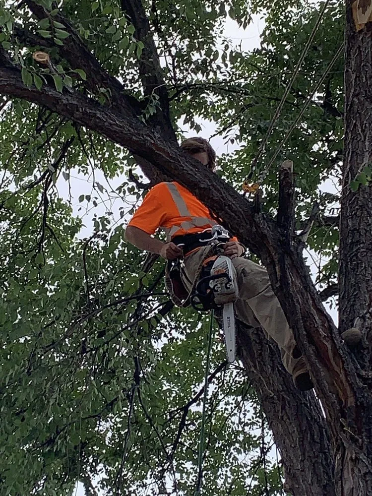 Expert outdoor landscaping experts serving Fountain, CO - Gilbert's Tree & Landscape