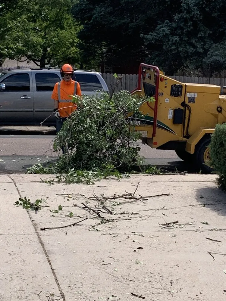 Affordable landscape installation in Fountain, CO - Gilbert's Tree & Landscape