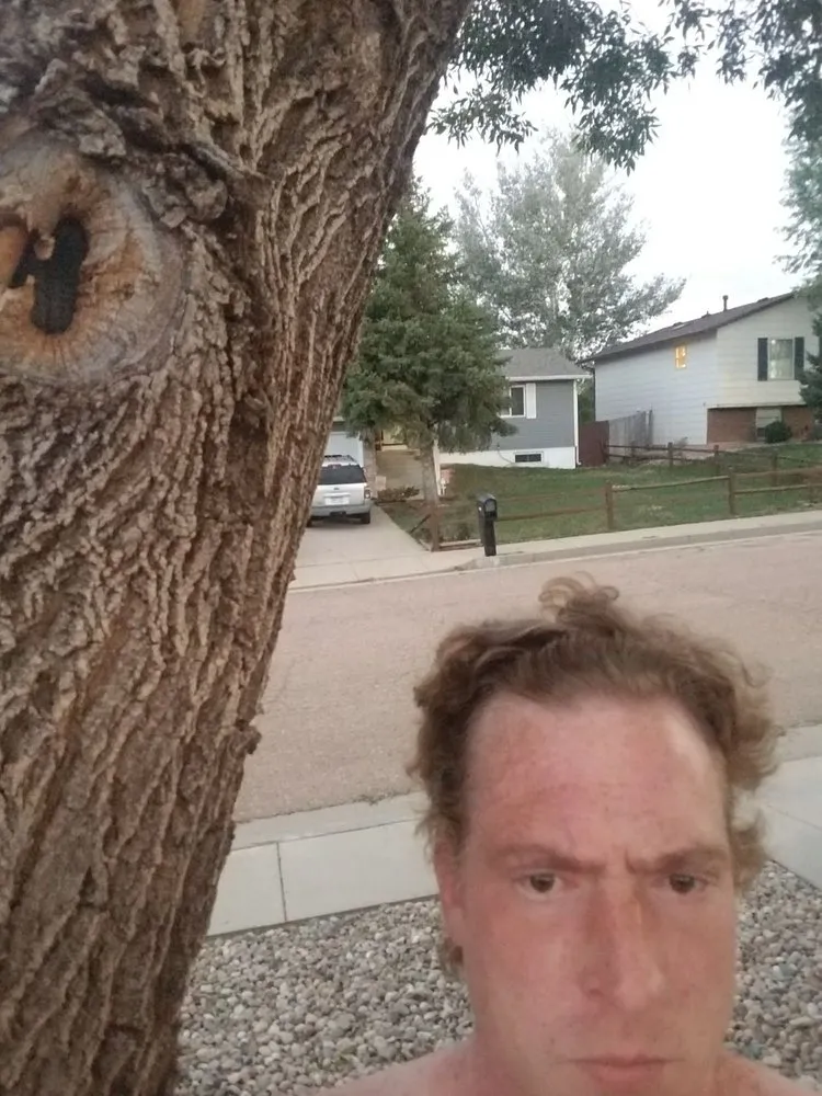 Reliable lawn mowing service in Fountain, CO by Gilbert's Tree & Landscape