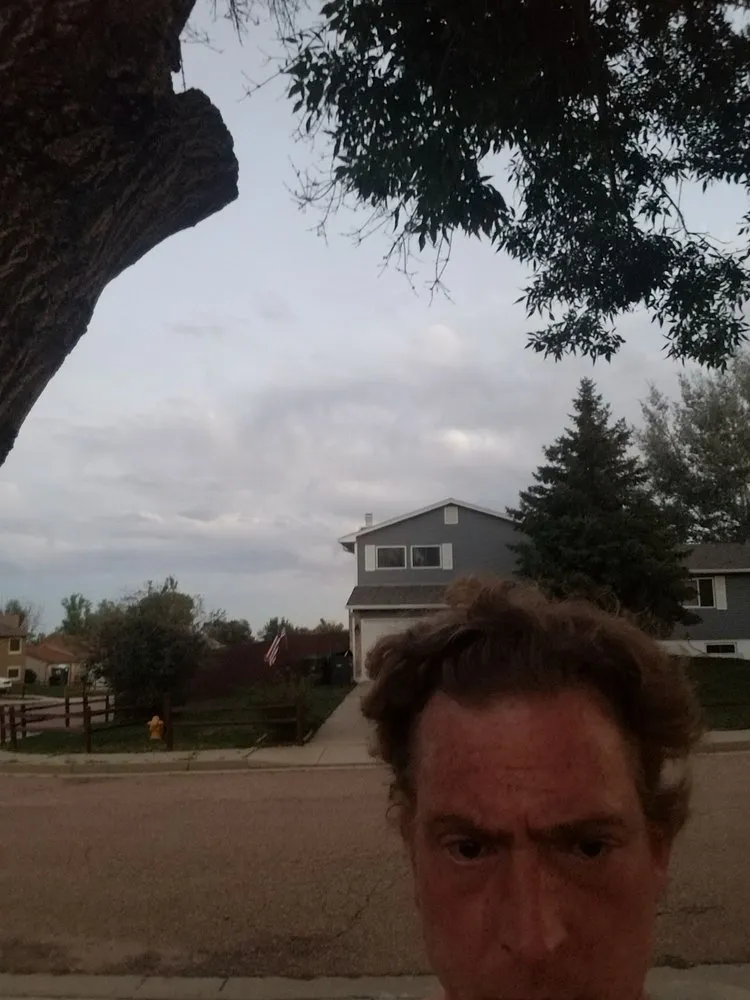 Top-rated lawn mowing service experts serving Fountain, CO - Gilbert's Tree & Landscape