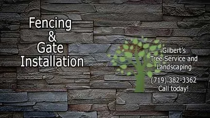 Reliable lawn mowing service in Fountain, CO - Gilbert's Tree & Landscape