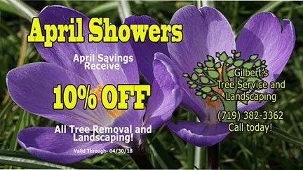 Expert lawn mowing service in Fountain, CO by Gilbert's Tree & Landscape