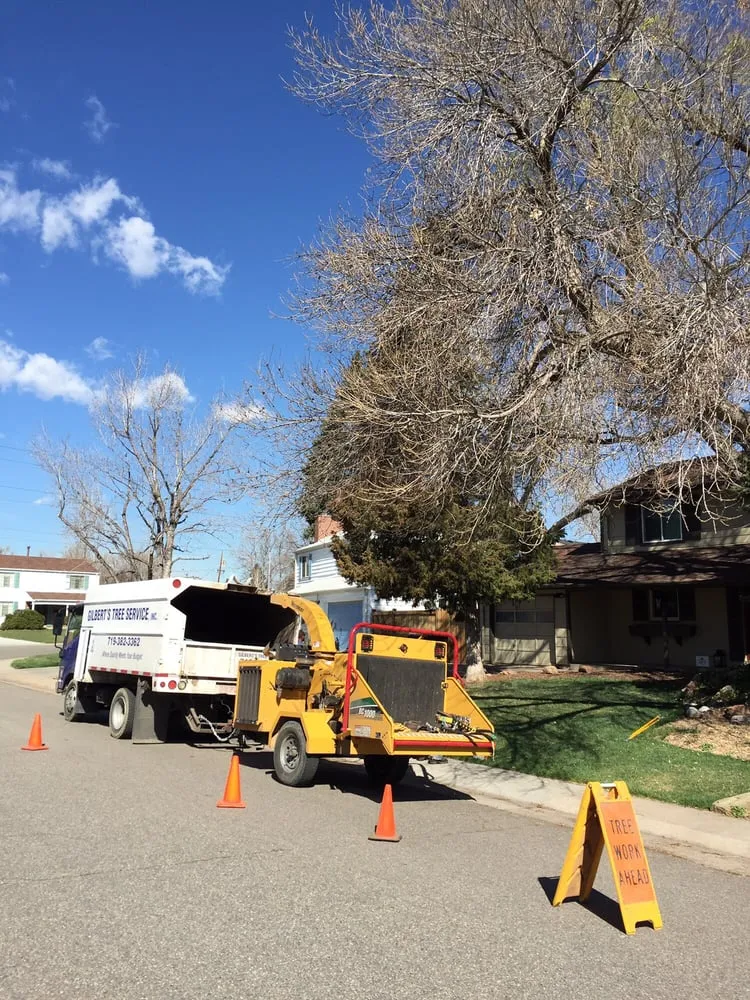 Professional landscape installation in Fountain, CO by Gilbert's Tree & Landscape