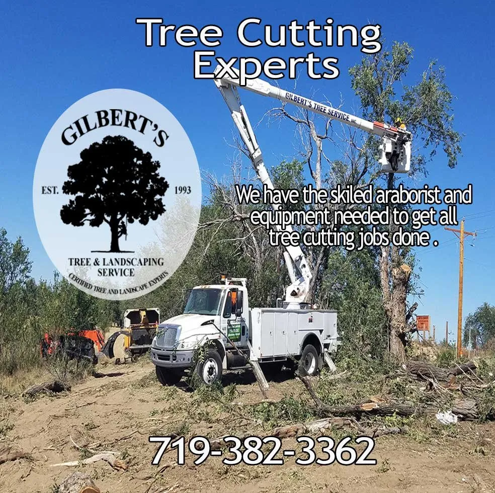 Affordable residential landscaping in Fountain, CO by Gilbert's Tree & Landscape