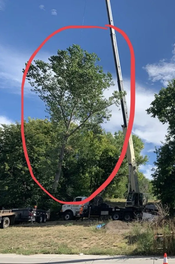 Local outdoor landscaping in Fountain, CO by Gilbert's Tree & Landscape