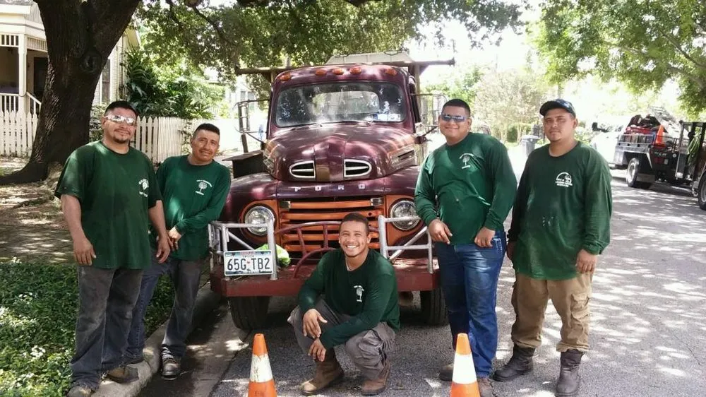 Local landscaping services experts serving Houston, TX - Gilbert's Tree Service