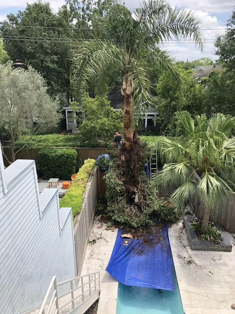 Trusted outdoor landscaping for outdoor upgrades across Houston, TX - Gilbert's Tree Service