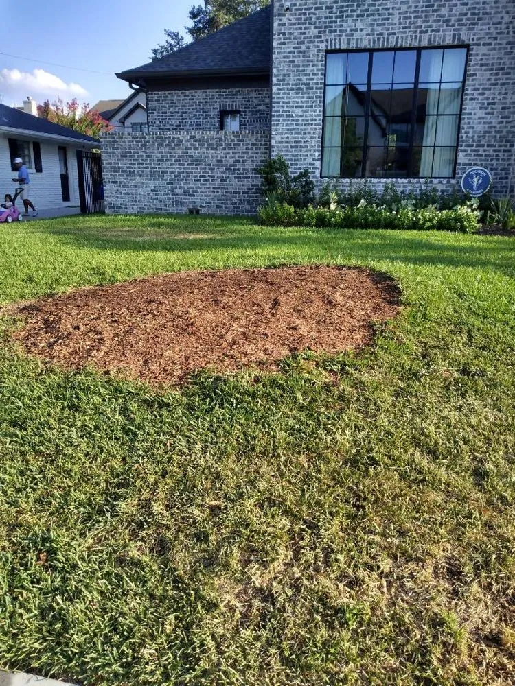 Expert yard cleanup service for homes across Houston, TX - Gilbert's Tree Service