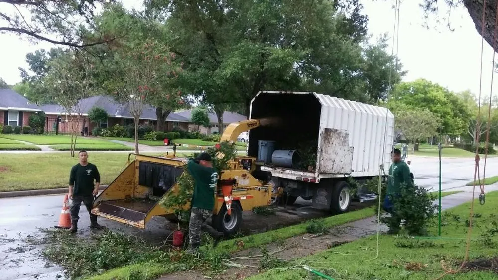 Affordable outdoor landscaping experts serving Houston, TX - Gilbert's Tree Service