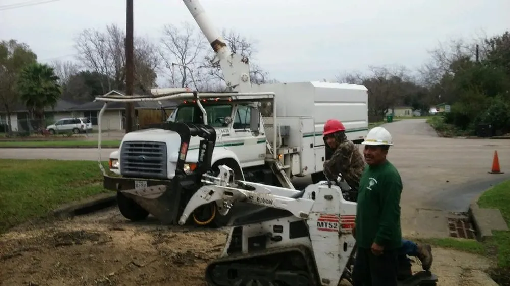 Professional garden landscaping in Houston, TX by Gilbert's Tree Service