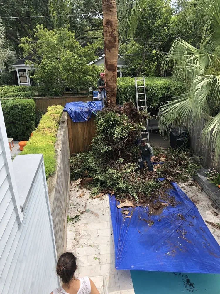 Custom outdoor landscaping in Houston, TX - Gilbert's Tree Service