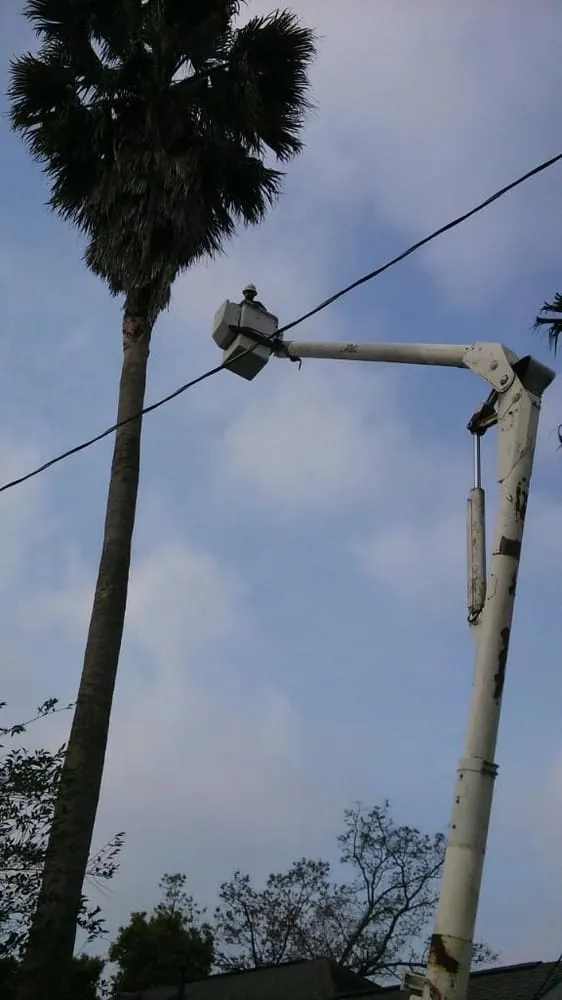 Local lawn care service for outdoor upgrades in Houston, TX by Gilbert's Tree Service