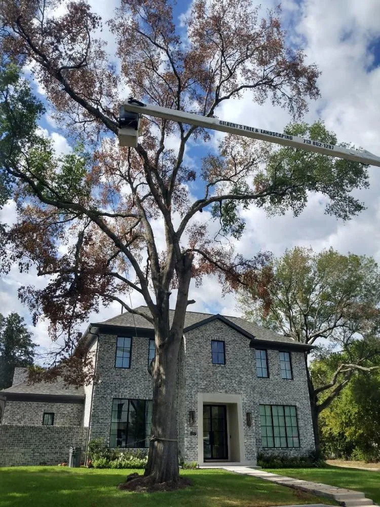 Top-rated outdoor landscaping with custom design in Houston, TX by Gilbert's Tree Service