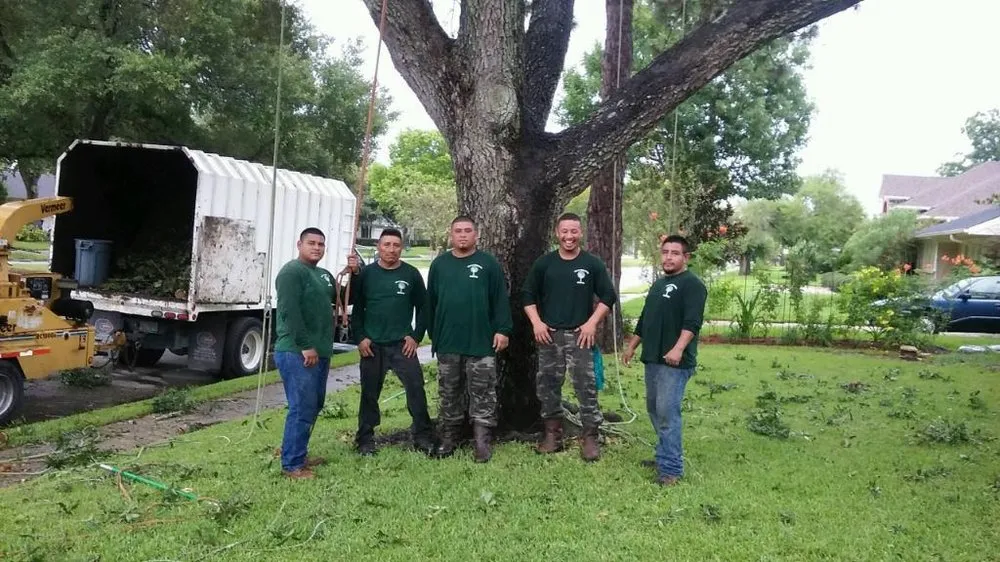 Professional landscape design in Houston, TX by Gilbert's Tree Service