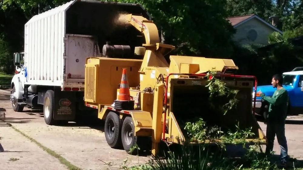 Expert yard cleanup service in Houston, TX by Gilbert's Tree Service
