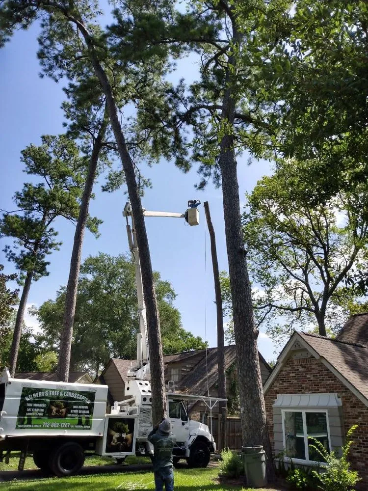 Affordable landscape design in Houston, TX by Gilbert's Tree Service