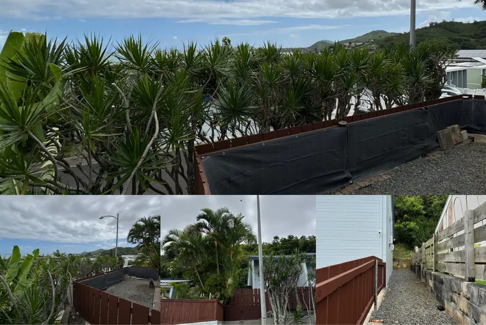 Top-rated lawn care service experts serving Waipahu, HI - Gilberts Yard and Tree Trimming