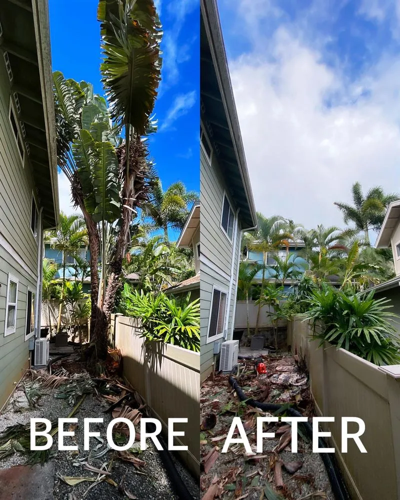 Affordable residential landscaping experts serving Waipahu, HI - Gilberts Yard and Tree Trimming