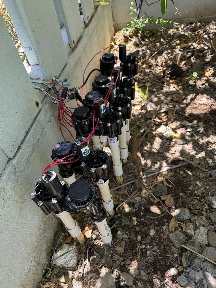 Affordable landscape design experts serving Waipahu, HI - Gilberts Yard and Tree Trimming