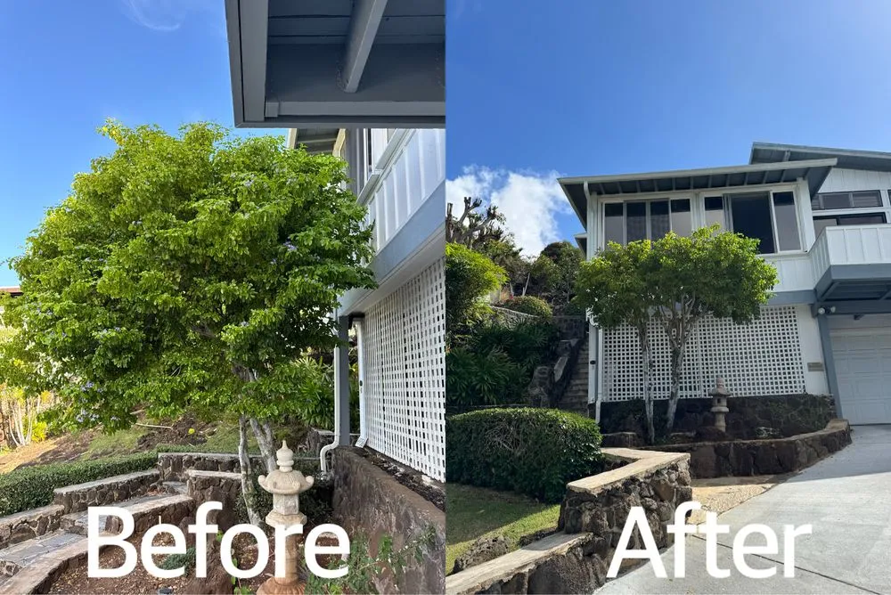 Trusted landscape installation experts serving Waipahu, HI - Gilberts Yard and Tree Trimming