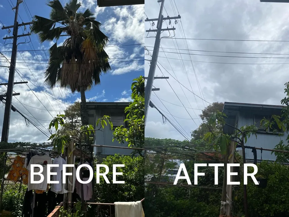 Affordable landscaping services in Waipahu, HI - Gilberts Yard and Tree Trimming