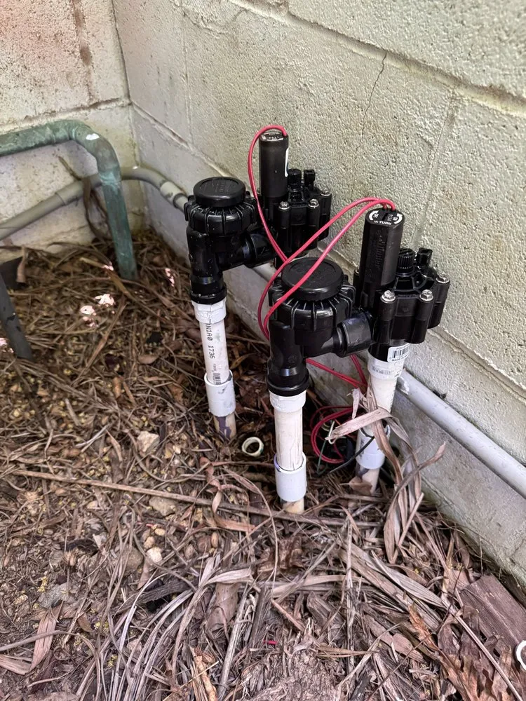 Expert lawn care service in Waipahu, HI - Gilberts Yard and Tree Trimming