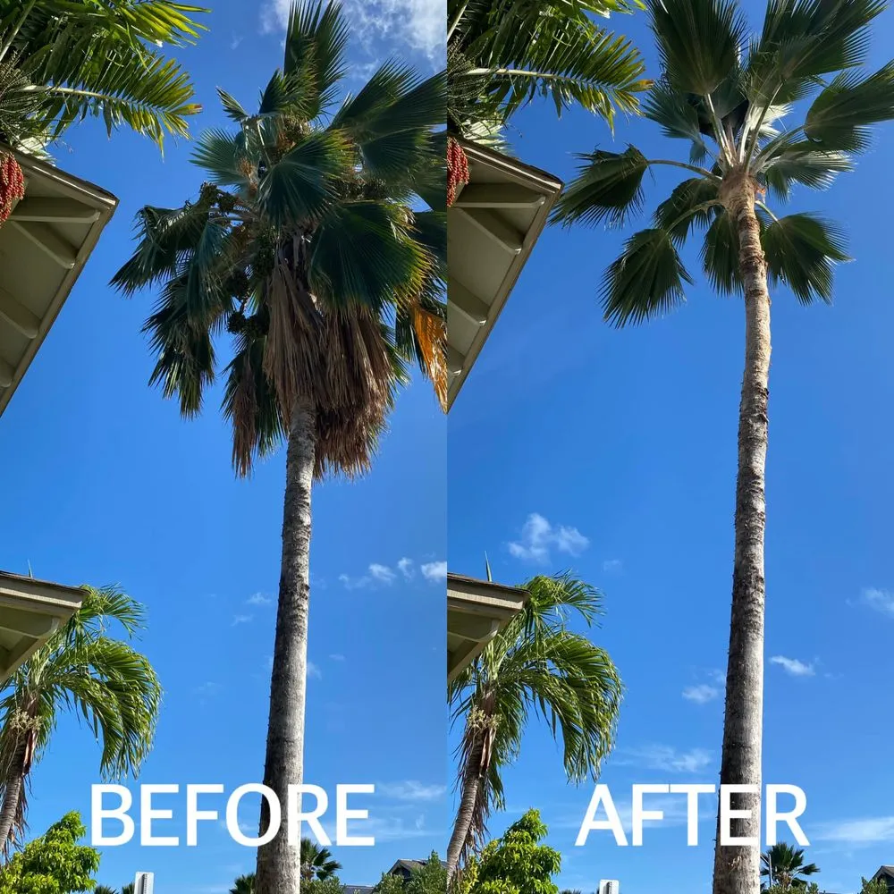 Professional outdoor landscaping with custom design in Waipahu, HI by Gilberts Yard and Tree Trimming