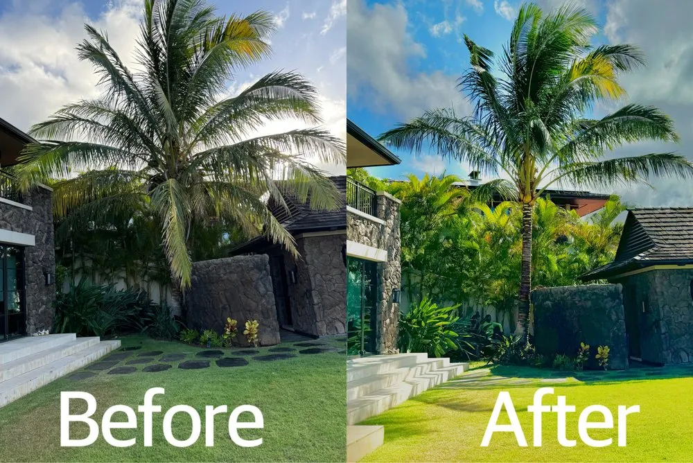 Reliable residential landscaping experts serving Waipahu, HI - Gilberts Yard and Tree Trimming