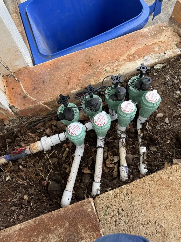 Expert yard cleanup service for beautiful yards across Waipahu, HI - Gilberts Yard and Tree Trimming