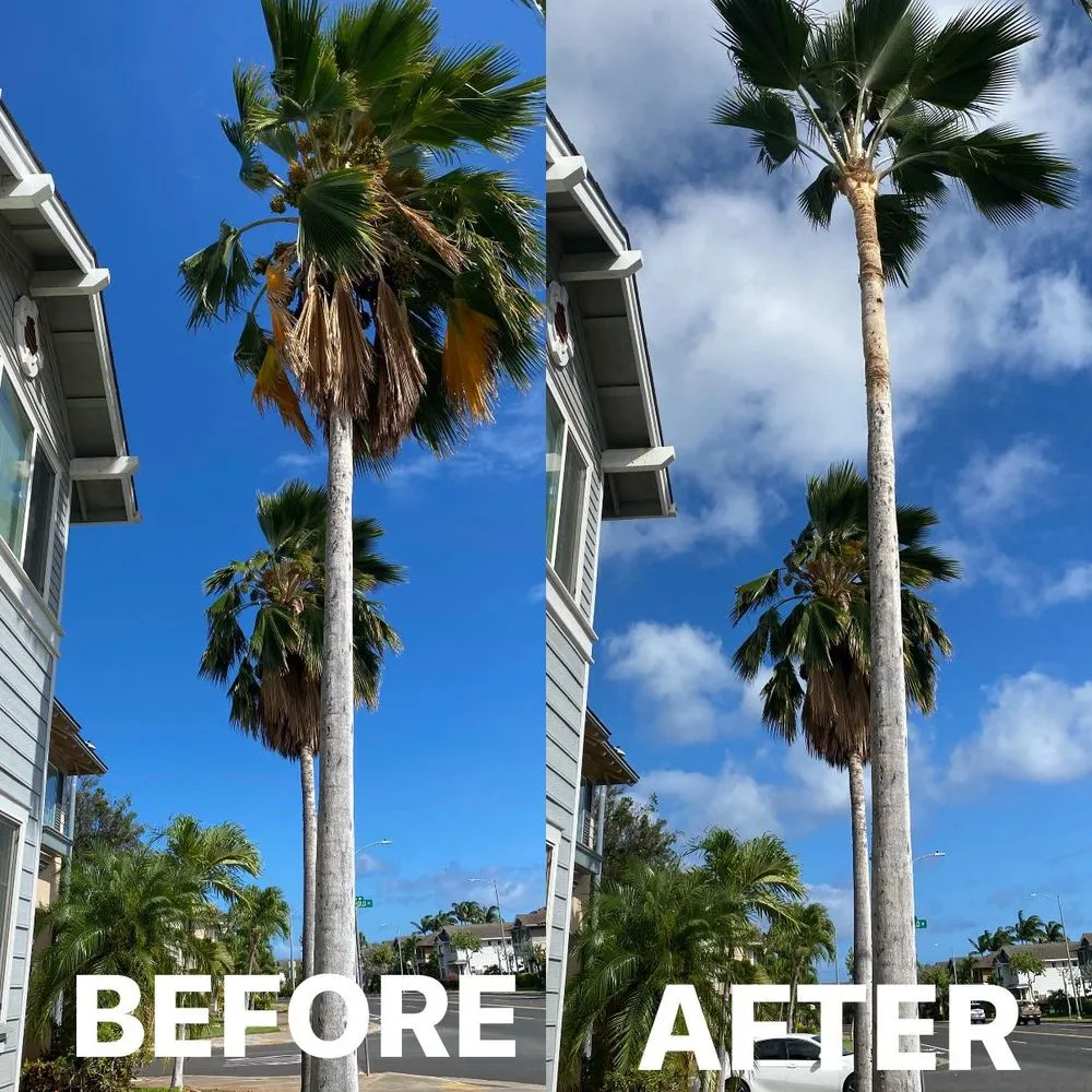 Professional residential landscaping in Waipahu, HI - Gilberts Yard and Tree Trimming