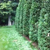 Expert garden landscaping in Bloomfield, CT by Gileau's Lawn Service