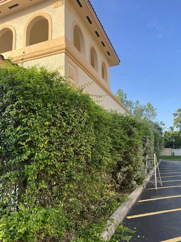 Expert landscape installation experts serving Lighthouse Point, FL - Giles lawn service