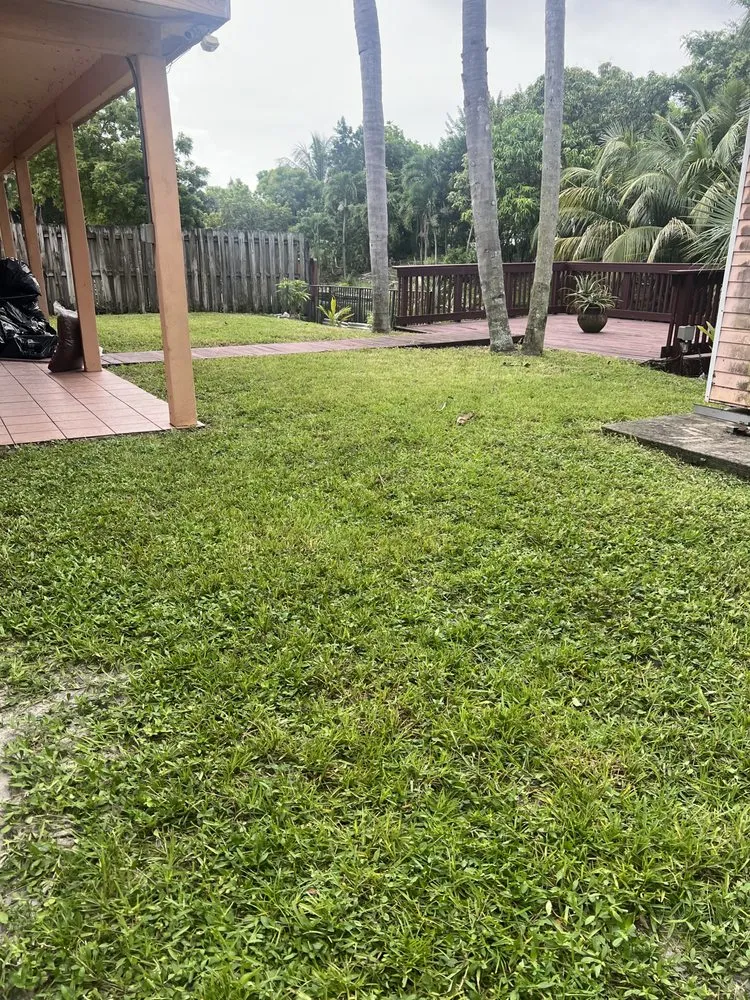 Professional outdoor landscaping in Lighthouse Point, FL by Giles lawn service