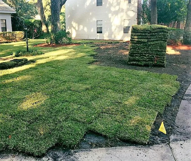 Top-rated yard maintenance experts serving Lakeland, FL - Gilileo's Landscaping Service