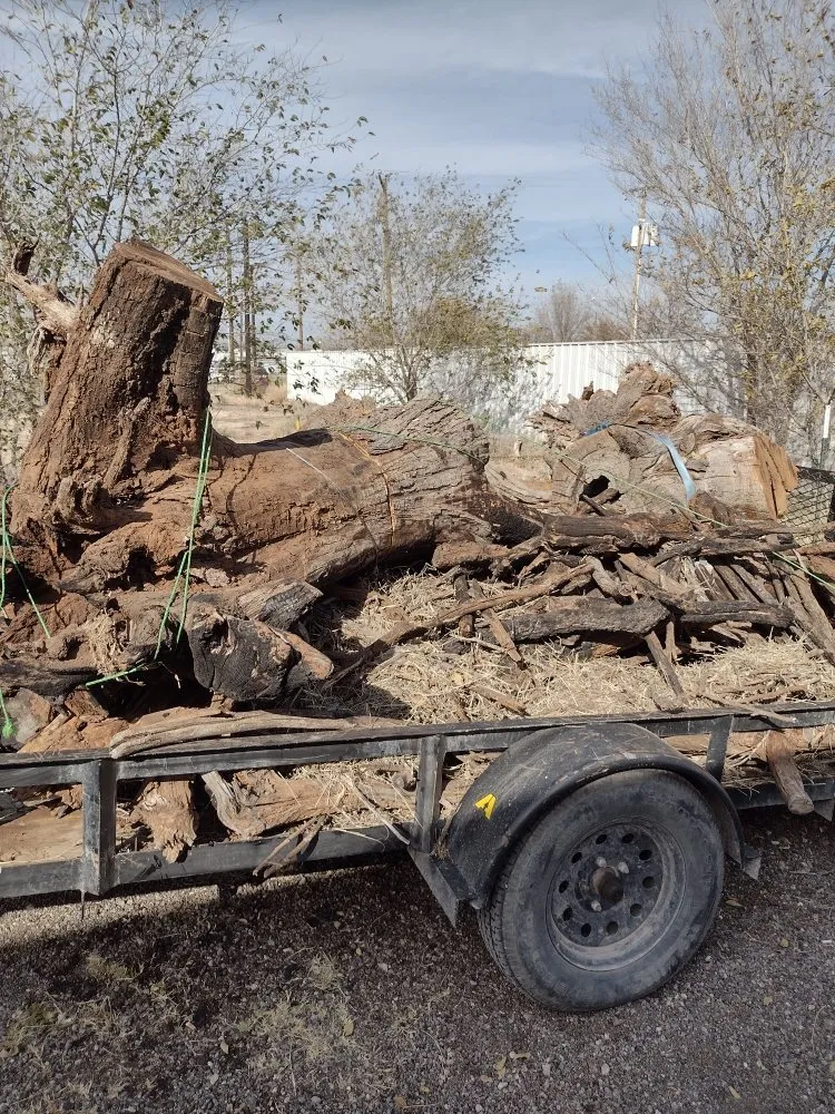 Local residential landscaping for beautiful yards in Odessa, TX by Gilkey Landscaping