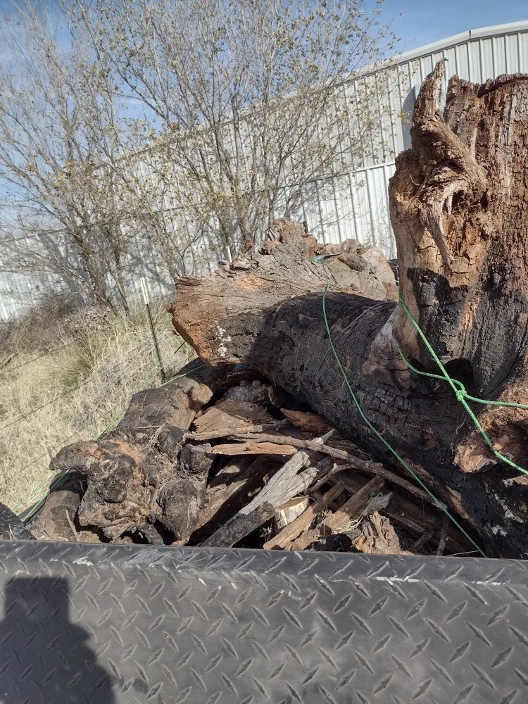 Top-rated landscaping services in Odessa, TX by Gilkey Landscaping