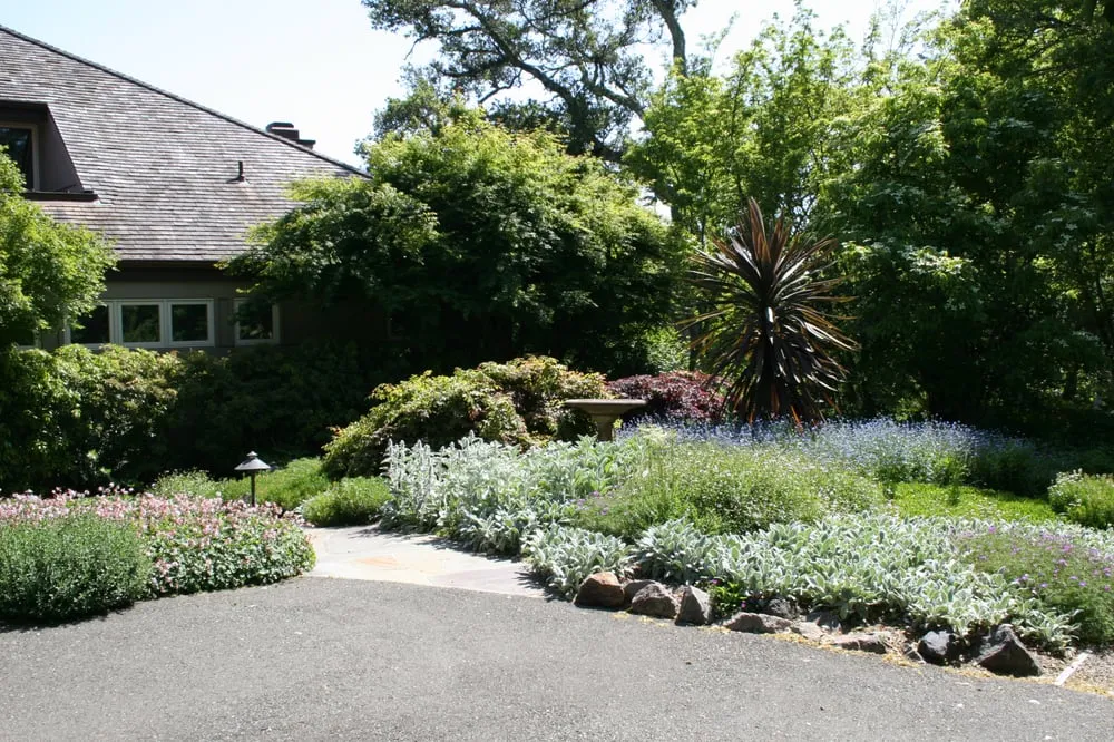 Trusted lawn mowing service with custom design across Sebastopol, CA - Gill Landscape