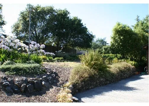 Top-rated outdoor landscaping in Sebastopol, CA - Gill Landscape