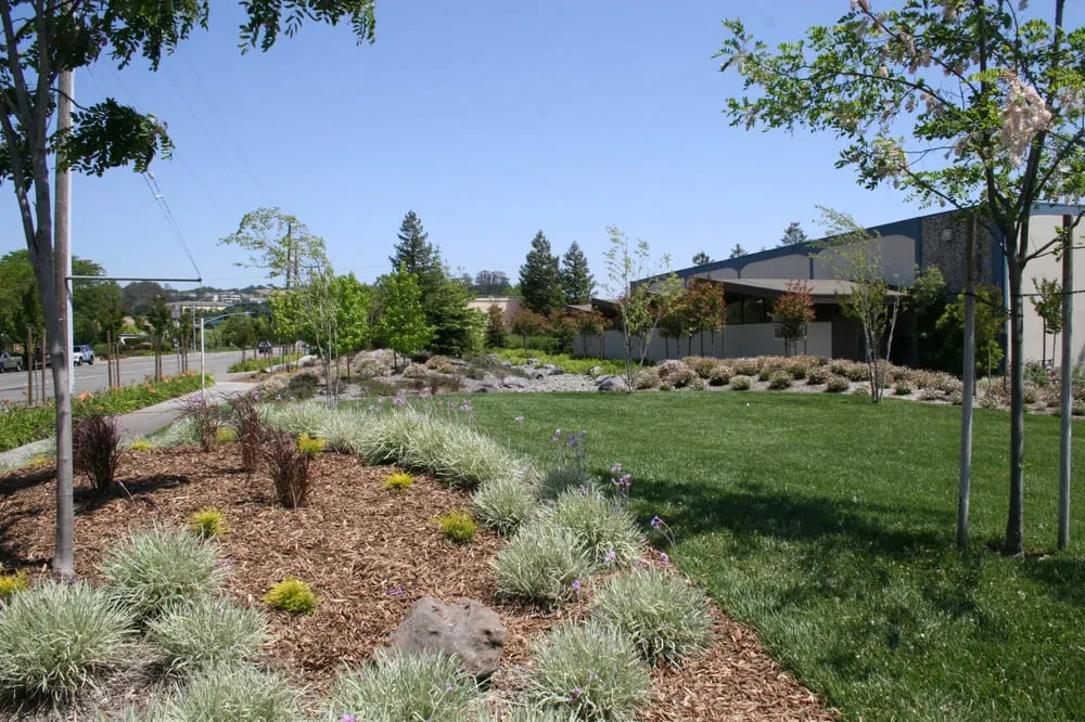 Expert lawn mowing service experts serving Sebastopol, CA - Gill Landscape