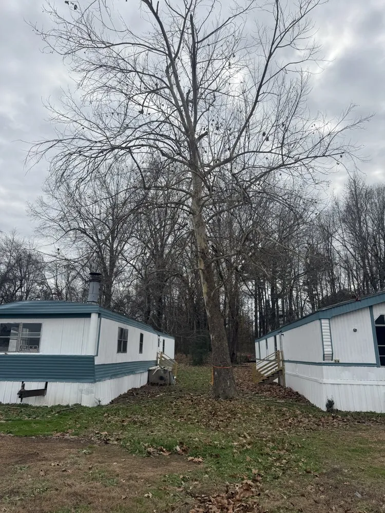 Custom landscape design experts serving Mayfield, KY - Gillespies Tree Service And Landscaping