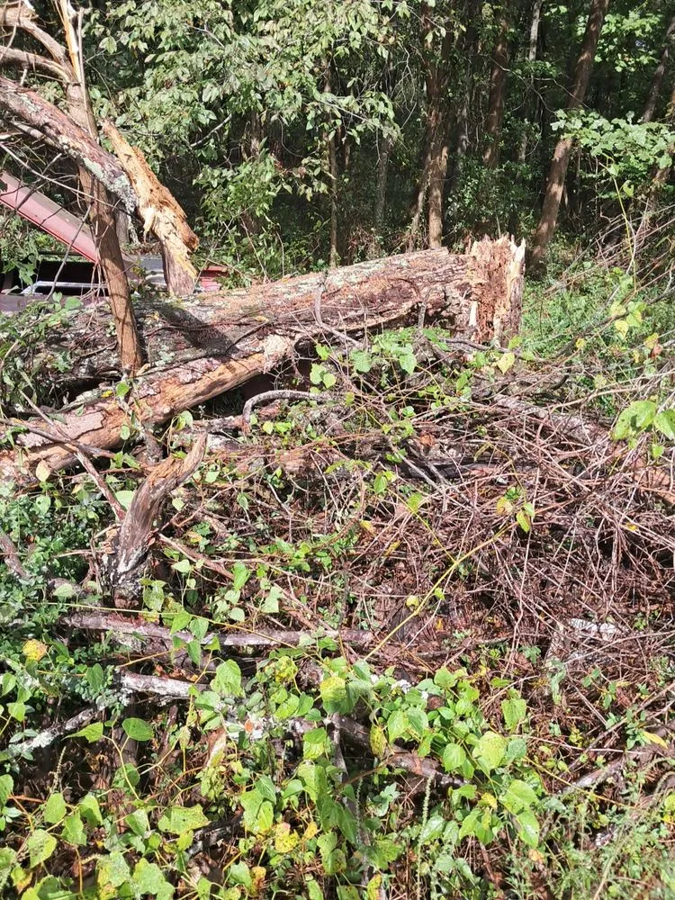 Reliable lawn mowing service in Mayfield, KY - Gillespies Tree Service And Landscaping