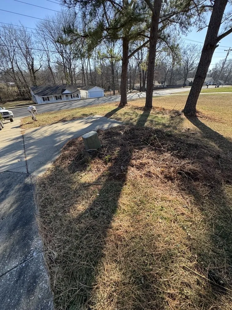 Local landscaping services for year-round maintenance across Mayfield, KY - Gillespies Tree Service And Landscaping