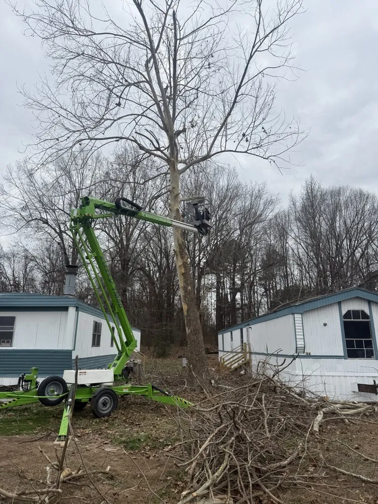 Local landscape design in Mayfield, KY by Gillespies Tree Service And Landscaping