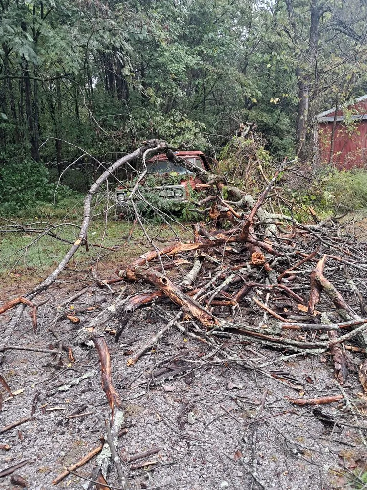 Professional lawn care service for homes in Mayfield, KY by Gillespies Tree Service And Landscaping