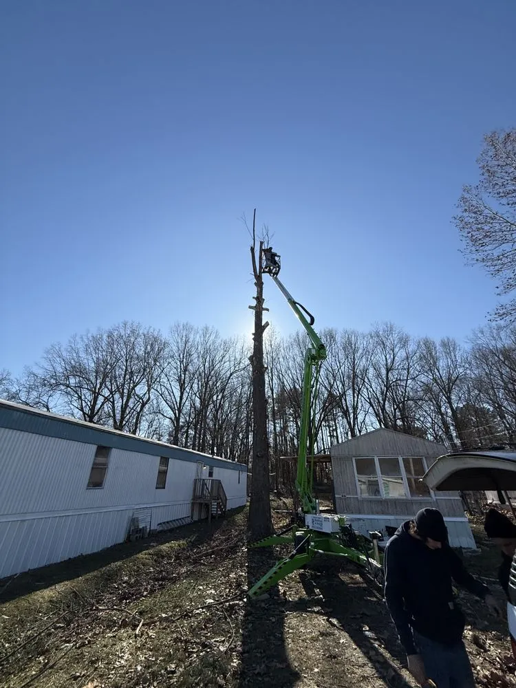 Reliable yard maintenance for outdoor upgrades across Mayfield, KY - Gillespies Tree Service And Landscaping