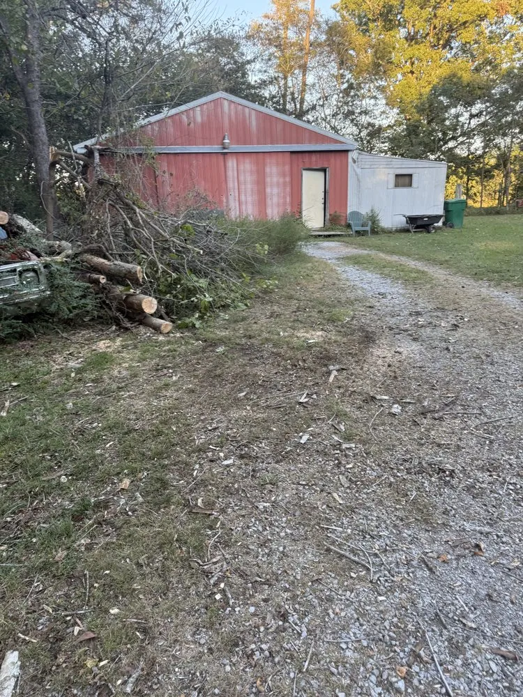 Trusted lawn care service in Mayfield, KY by Gillespies Tree Service And Landscaping